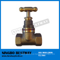 Venta caliente Gunmetal Stop Cock Valve Supplier (BW-Q1)